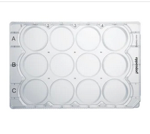 德國(guó)艾本德(Eppendorf)Cell Culture Plates,12-Well,無(wú)菌無(wú)熱原,無(wú)RNase和DNase,無(wú)人類和細(xì)菌DNA,無(wú)細(xì)胞毒素,未處理,2mL,60塊,獨(dú)立包裝